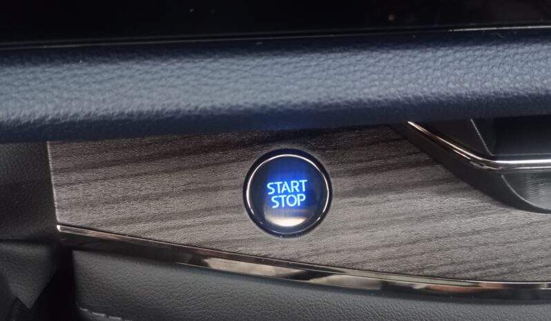 Ford Territory Titanium 1.5 Turbo Aut. Gasolina 2023/2024 cheio