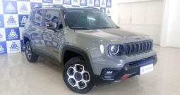 Jeep Renegade Trailhawk 1.3 4X4 Turbo Aut. Flex 2024/2025