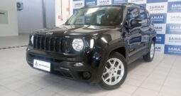 Jeep Renegade Sport 1.8 Aut. Flex 2019/2019